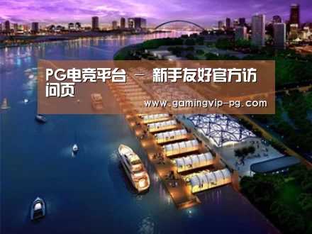 案例展示八