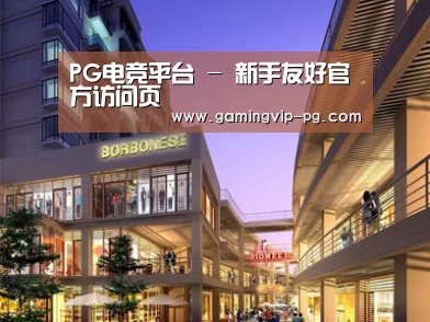 案例展示一