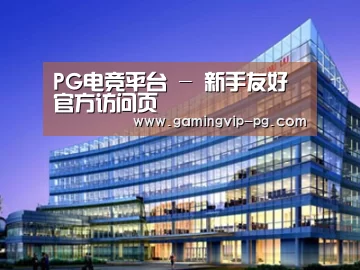 案例展示五