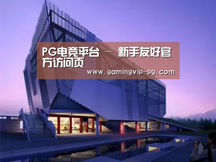 案例展示六
