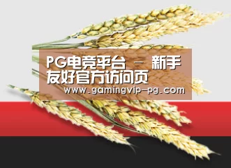 PG电竞平台 - 新手友好官方访问页