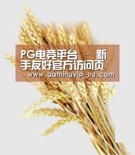 PG电竞平台 - 新手友好官方访问页