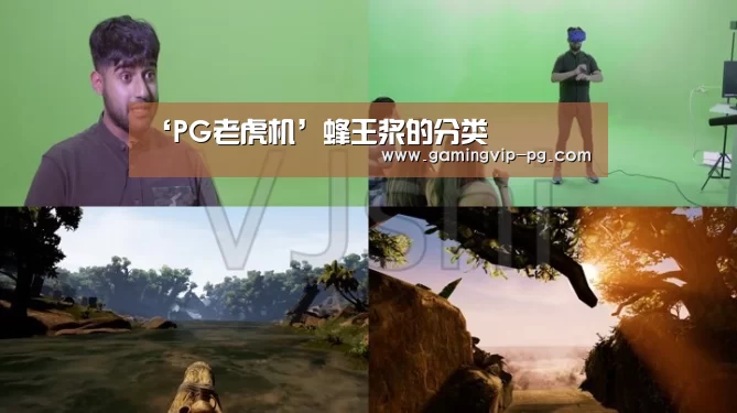 ‘PG老虎机’蜂王浆的分类(图2) PG体育