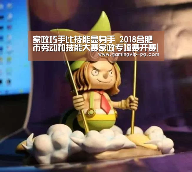 家政巧手比技能显身手 2018合肥市劳动和技能大赛家政专项赛开赛|PG地址(图3) PG体育