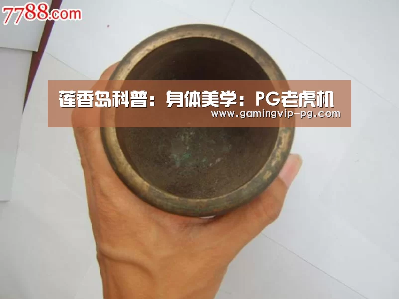 PG滚球